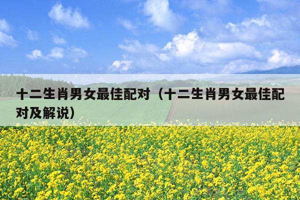 十二生肖男女最佳配对（十二生肖男女最佳配对及解说）