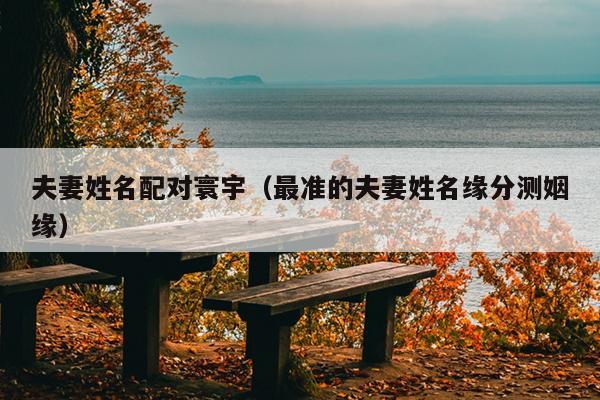 夫妻姓名配对寰宇（最准的夫妻姓名缘分测姻缘）
