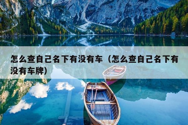 怎么查自己名下有没有车（怎么查自己名下有没有车牌）