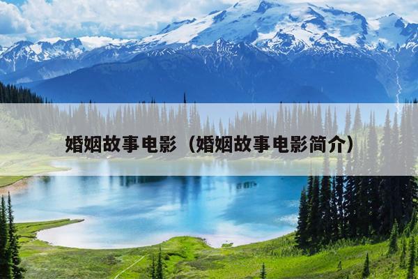 婚姻故事电影（婚姻故事电影简介）