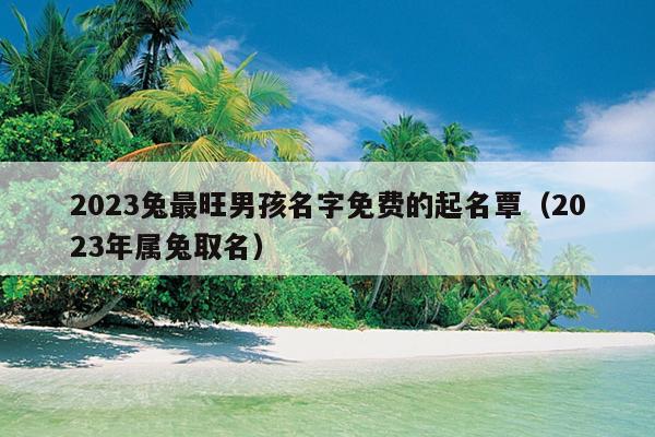 2023兔最旺男孩名字免费的起名覃（2023年属兔取名）