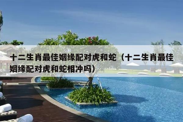 十二生肖最佳姻缘配对虎和蛇（十二生肖最佳姻缘配对虎和蛇相冲吗）