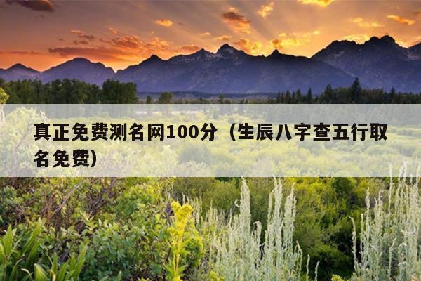 真正免费测名网100分（生辰八字查五行取名免费）
