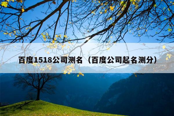 百度1518公司测名（百度公司起名测分）