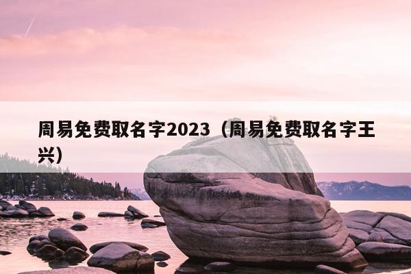 周易免费取名字2023（周易免费取名字王兴）