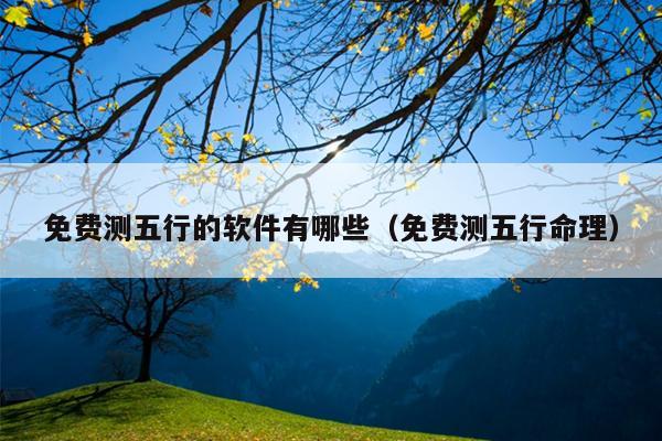 免费测五行的软件有哪些（免费测五行命理）