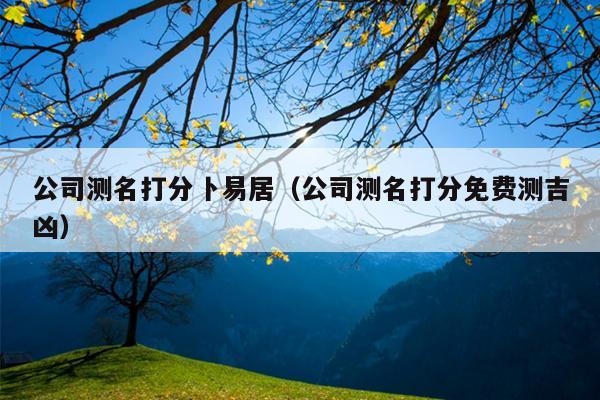公司测名打分卜易居（公司测名打分免费测吉凶）