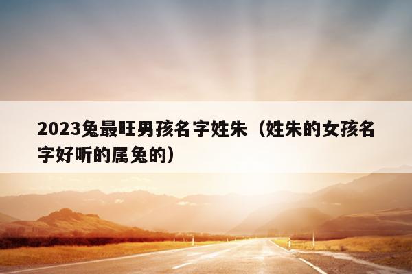 2023兔最旺男孩名字姓朱（姓朱的女孩名字好听的属兔的）