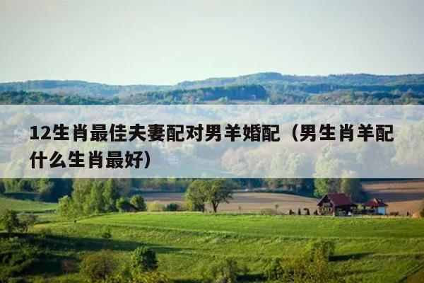 12生肖最佳夫妻配对男羊婚配（男生肖羊配什么生肖最好）
