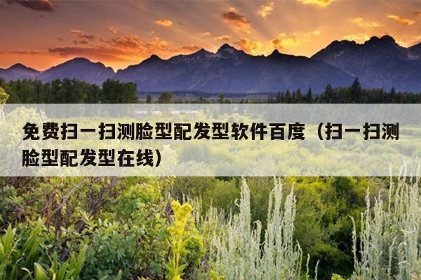 免费扫一扫测脸型配发型软件百度（扫一扫测脸型配发型在线）