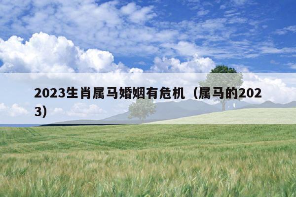 2023生肖属马婚姻有危机（属马的2023）