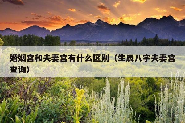 婚姻宫和夫妻宫有什么区别（生辰八字夫妻宫查询）