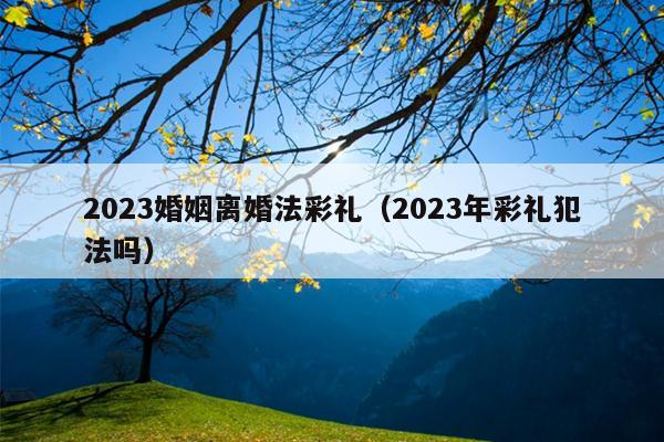 2023婚姻离婚法彩礼（2023年彩礼犯法吗）
