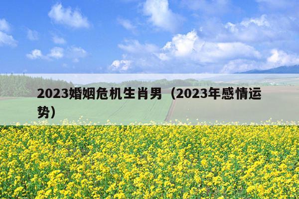 2023婚姻危机生肖男（2023年感情运势）