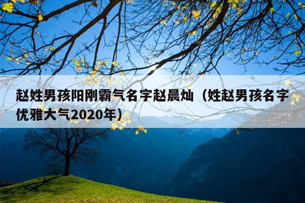 赵姓男孩阳刚霸气名字赵晨灿（姓赵男孩名字优雅大气2020年）