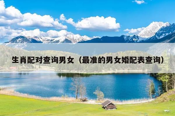 生肖配对查询男女（最准的男女婚配表查询）