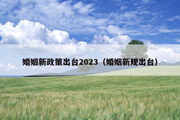 婚姻新政策出台2023（婚姻新规出台）