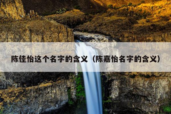 陈佳怡这个名字的含义（陈嘉怡名字的含义）