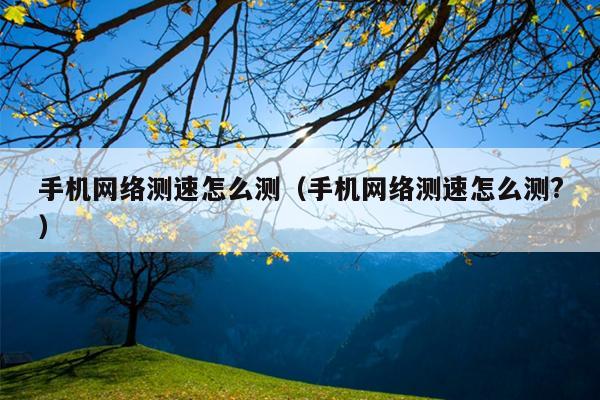 手机网络测速怎么测（手机网络测速怎么测?）