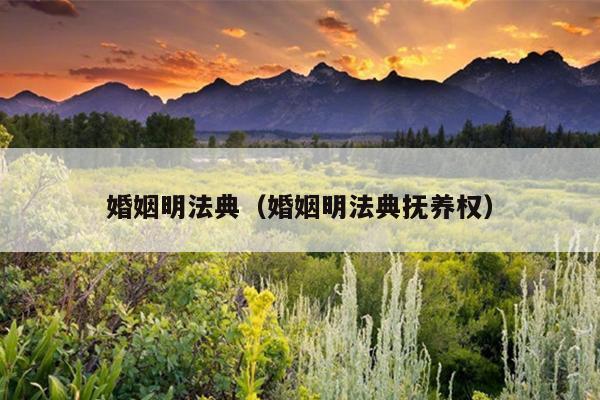 婚姻明法典（婚姻明法典抚养权）