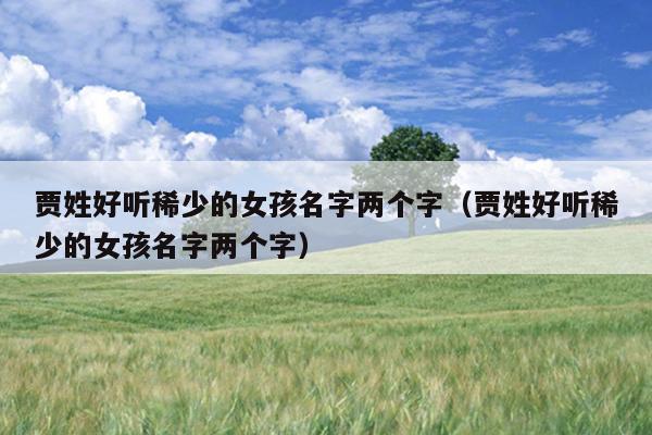 贾姓好听稀少的女孩名字两个字（贾姓好听稀少的女孩名字两个字）