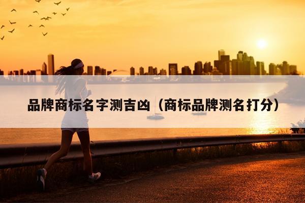 品牌商标名字测吉凶（商标品牌测名打分）