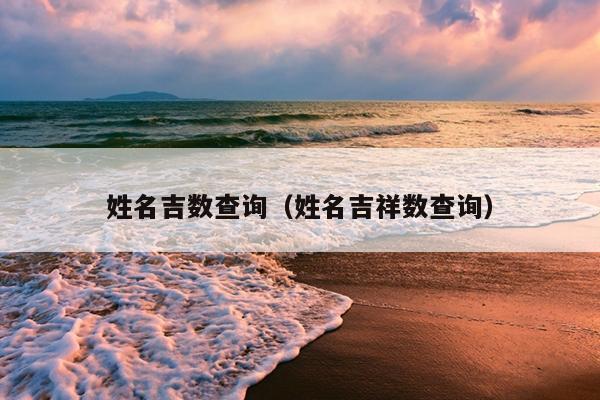 姓名吉数查询（姓名吉祥数查询）