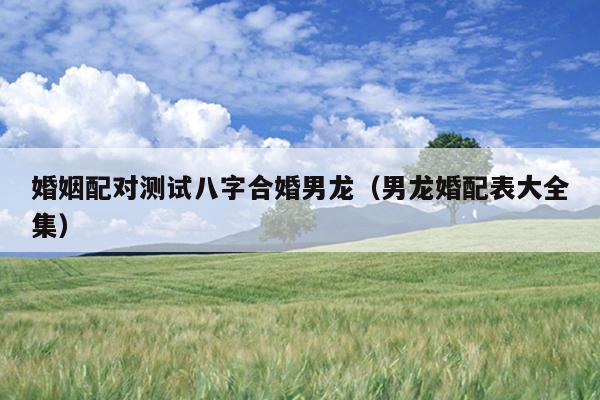 婚姻配对测试八字合婚男龙（男龙婚配表大全集）