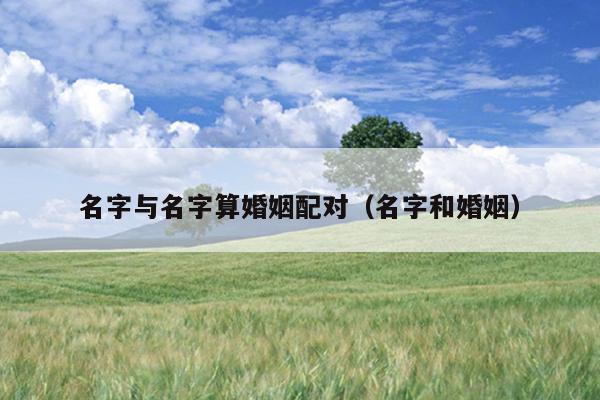 名字与名字算婚姻配对（名字和婚姻）