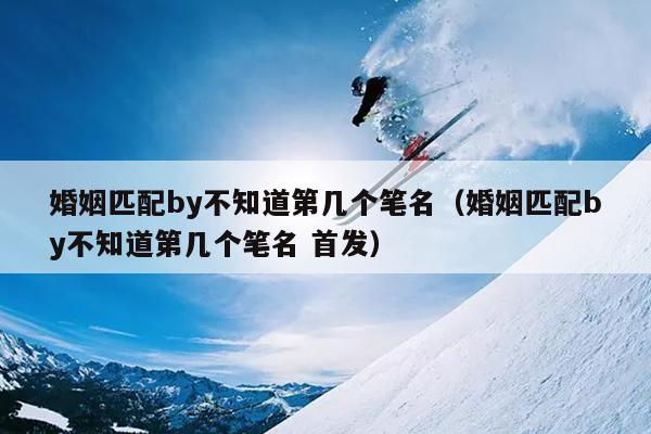 婚姻匹配by不知道第几个笔名（婚姻匹配by不知道第几个笔名 首发）