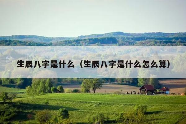 生辰八字是什么（生辰八字是什么怎么算）