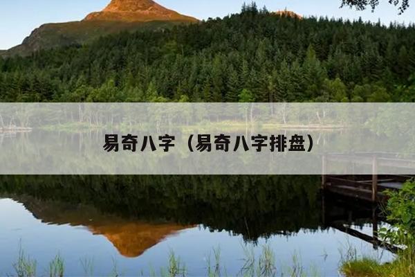 易奇八字（易奇八字排盘）