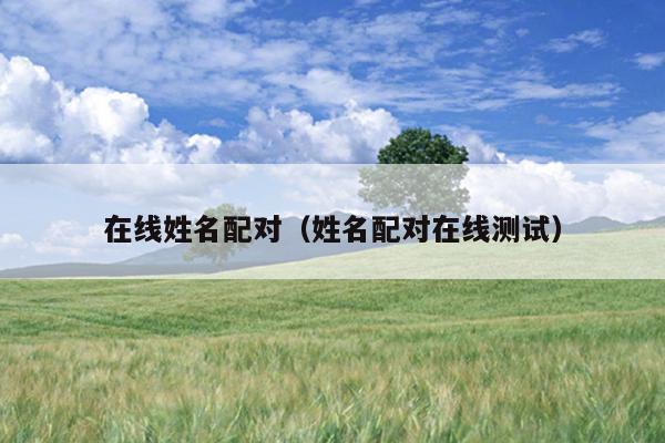 在线姓名配对（姓名配对在线测试）