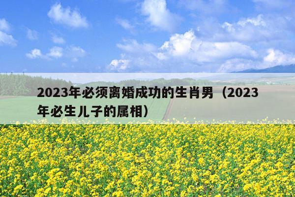 2023年必须离婚成功的生肖男（2023年必生儿子的属相）
