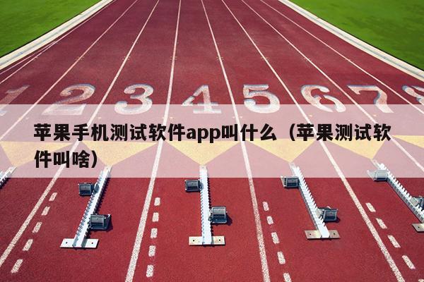 苹果手机测试软件app叫什么（苹果测试软件叫啥）