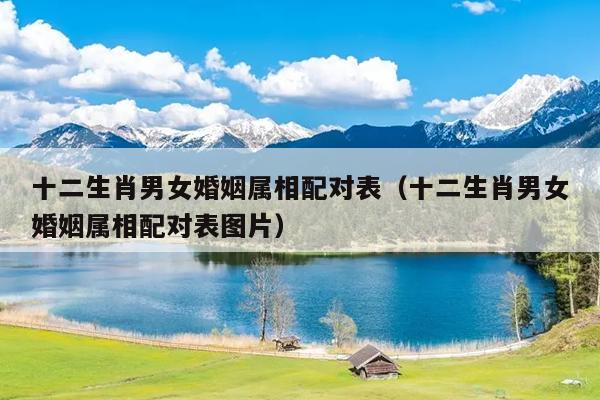 十二生肖男女婚姻属相配对表（十二生肖男女婚姻属相配对表图片）