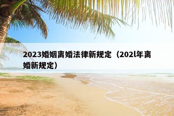 2023婚姻离婚法律新规定（202l年离婚新规定）