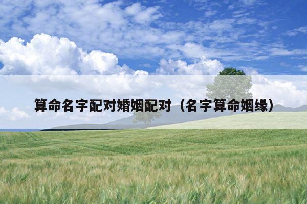 算命名字配对婚姻配对（名字算命姻缘）