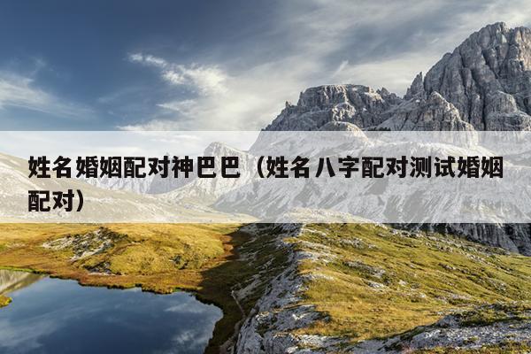 姓名婚姻配对神巴巴（姓名八字配对测试婚姻配对）