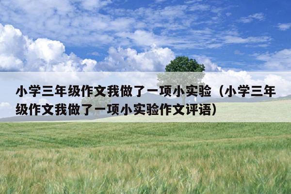 小学三年级作文我做了一项小实验（小学三年级作文我做了一项小实验作文评语）