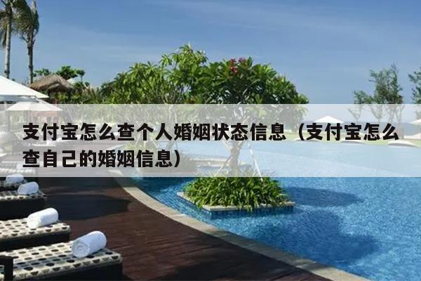 支付宝怎么查个人婚姻状态信息（支付宝怎么查自己的婚姻信息）