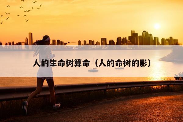 人的生命树算命（人的命树的影）