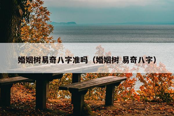 婚姻树易奇八字准吗（婚姻树 易奇八字）