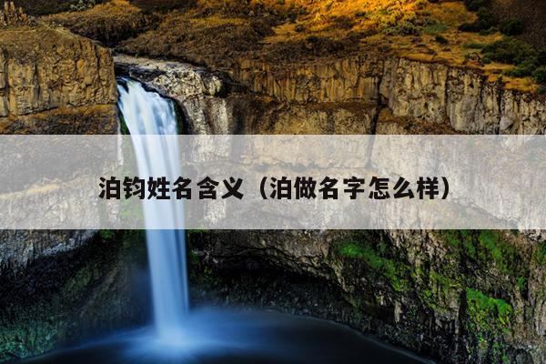 泊钧姓名含义（泊做名字怎么样）