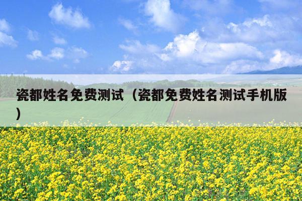 瓷都姓名免费测试（瓷都免费姓名测试手机版）