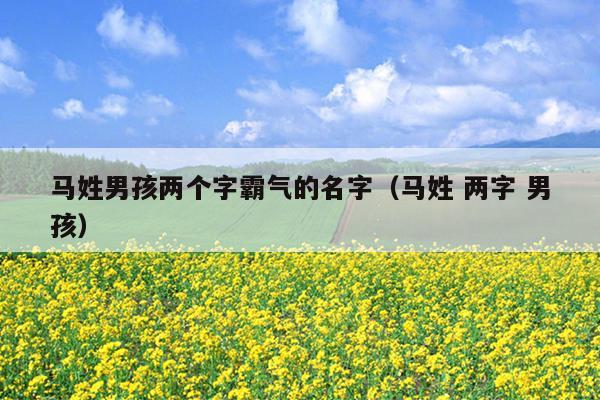 马姓男孩两个字霸气的名字（马姓 两字 男孩）