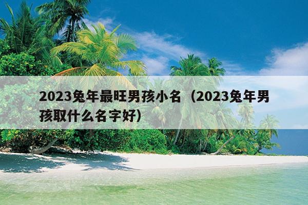 2023兔年最旺男孩小名（2023兔年男孩取什么名字好）
