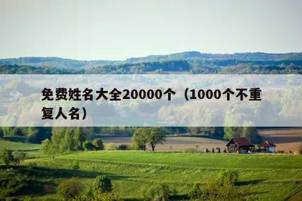 免费姓名大全20000个（1000个不重复人名）