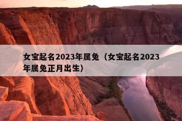 女宝起名2023年属兔（女宝起名2023年属兔正月出生）