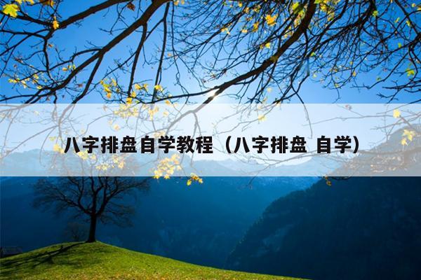 八字排盘自学教程（八字排盘 自学）
